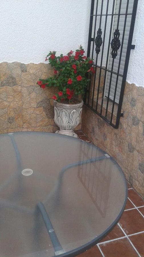 Apartment Antonia 1